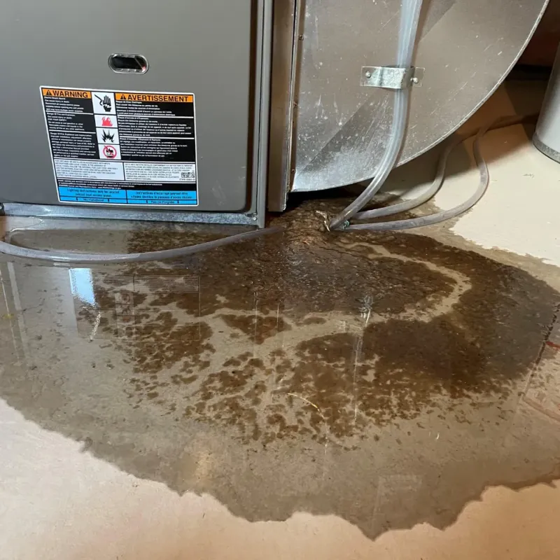 Appliance Leak Cleanup in Daleville, AL